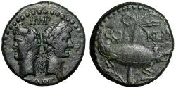 Ancient Coins - Augustus and Agrippa AE As of Nemausus "Portrait & Crocodile" Very Fine
