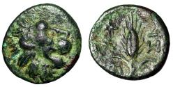 Ancient Coins - Thrace, Lysimacheia "Head of Lion & Grain Ear" Good Very Fine