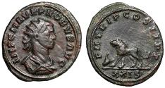 Ancient Coins - Probus Antoninianus "Lion, Head of Ox" Scarce