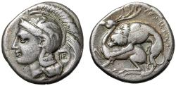 Ancient Coins - Lucania, Velia AR Nomos "Athena, Griffin Helmet / Lion Killing Stag" Very Fine