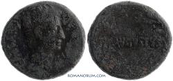 Ancient Coins - AUGUSTUS. (44 BC - AD 14) As, 11.33g.  Uncertain Asia Minor mint.