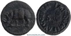Ancient Coins - DOMITIAN. (AD 81-96) Quadrans, 2.85g.  Rome. Rhinoceros walking left.