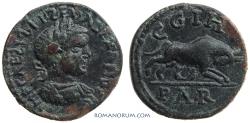 Ancient Coins - SEVERUS ALEXANDER. (AD 222-235) AE22, 5.74g.  Parium, Mysia. She-wolf and twins