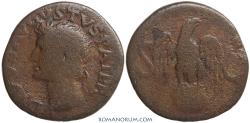 Ancient Coins - TIBERIUS / AUGUSTUS. (AD 14-37) As, 9.46g.  Rome. Struck by Tiberius.