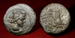 Ancient Coins - Seleukid Kings. Antiochos VII Euergetes (Sidetes) (BC 138-129) AE.