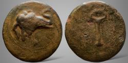 Ancient Coins - Baktria, Greco-Baktrian Kingdom, Demetrios I Antiketos. (Circa 200-185 BC). AE Triple Unit.