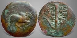Ancient Coins - Seleukid Kings, Seleukos I Nikator & Antiochos I Soter. (Circa 293-256 BC) AE Unit. Extremely Rare Variaty