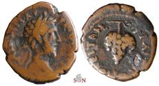 Ancient Coins - Thrace, Philippopolis AE 19 mm - Commodus - bunch of grapes - Varbanov 998