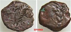 Ancient Coins - 482RC9X) Roman Provincial, Judaea, Tiberius, Valerius Gratus, AE Prutah. (1.97 Grms, 15 mm) Year 5 = 18 AD. Obverse: TIB-KAI-CAΡ within wreath. Reverse: IOY-ΛIA and date L-E, Palm