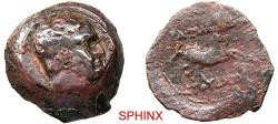 Ancient Coins - 156RK5U) Ancient Indo-Greek, Euthydemos I, Baktria, AE (4.21 grms, 17 mm), Obverse: Bearded head of Herakles right. Reverse: BAΣIΛEΩΣ EYΘYΔHMOY, Prancing horse right.