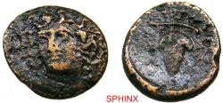 Ancient Coins - 664RH22P) THESSALY, Skotussa. Circa 352-344 BC. AE Trichalkon (22 mm, 6.4 grm). Head of nymph facing slightly right / Grape cluster on vine. Rogers 544; BCD Thessaly -. FINE, brown
