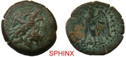 Ancient Coins - 387GF2Z) Ptolemaic kingdom, Ptolemy II Philadelphos, 285-246 BC, AE17. 3.07 grms, Obv. head of Zeus Ammon right with diadem and floral ornament, dotted border; Rev. Eagle left aVF