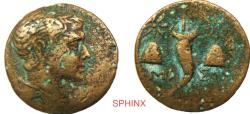 Ancient Coins - SPHINX RESUMES SHIPPING TO THE UNITED STATES...851CG4V) Ancient Greek, Amisos, Pontos, 125-100 B.C, AE 17, 3.26 Grms, 17.5 mm, Obverse: Bare-headed bust of Perseus right.