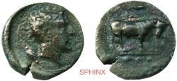 Ancient Coins - 921RC5) SICILY, Gela. Circa 420-405 BC. AE Tetras (17 mm, 2.84 g). Bull standing right; olive branch above, three pellets in exergue / Head of river-god right; [grain ear behind].