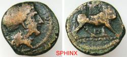 Ancient Coins - 925RC5) CAMPANIA, Neapolis. Circa 300-275 BC. AE (16.5 mm, 3.67 g). Laureate head of Apollo right / Forepart of man-headed bull right. faint inscriptions in exergue.Weber 367, Fine