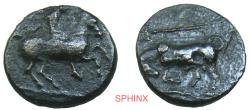 Ancient Coins - 709CF3Z) Ancient Greek, Krannon, Thessaly, autonomous 350-300 BC, AE15 mm, 2.49 Grms, Obverse: Rider on horse advancing right. Reverse: Bull head butting left, trident above. VF