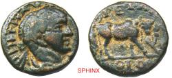 Ancient Coins - 420GM5Y) Decapolis. Petra. Elagabalus. AD 218-222. AE (17 mm, 5.81 g). Laureate, draped, and cuirassed bust right / Founder plowing right with bull and cow. Spijkerman 56; Rosenber