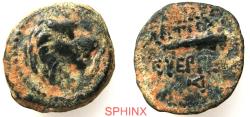 Ancient Coins - 23CH5) SELEUKID KINGS of SYRIA. Antiochos VII Euergetes (Sidetes). 138-129 BC. AE (16.5 mm, 2.44 g). Antioch mint. Dated SE 182 (131/0 BC). Head of lion right / Club; monogram aVF