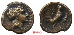 Ancient Coins - 717GR4W) SICILY, Tyndaris. Circa 287-279 BC. AE (16 mm, 2.46 g). Laureate head of Apollo right / Cock standing right; star to left, grasshopper to right. Campana 6a; BAR Issue 3;