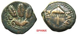 Ancient Coins - 472RC9X) HERODIAN KINGS of JUDAEA. Agrippa I. 37-44 CE. AE Prutah (17 mm, 3.11 gm). Dated year 6 (41/2) CE. BACILEWC AGRIPA, umbrella-like canopy / Three ears of barley between L S