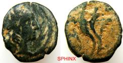 Ancient Coins - 927RC5) Ancient Middle East, Nabataean Kingdom. Aretas IV, 9 BC – AD 41. AE (1.51 g, 14 mm). Obverse: Laureate head right. Reverse: Two cornucopiae with palm branch. FINE