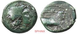 Ancient Coins - 891RC5) CAMPANIA, Neapolis. Circa 300 BC. AE (16 mm, 3.82 g). Laureate head of Apollo right / Forepart of man-headed bull right. Taliercio, Monetazione, Series IIc, 1; HN Italy 584