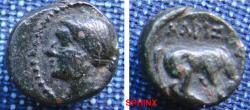 Ancient Coins - 554EK0) Thessaly Larissa. 3rd century B.C. AE 12 mm (2.1 g). Head of the nymph Larissa left / Horse standing right, about to roll. Rogers 303; SNG Copenhagen 145. FINE.