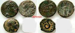 Ancient Coins - 860CG4V) Better grade LOT of 3 Ancient Greek Phoenician/ Seleukid and/ or near Eastern bronzes with nice details and all identifiable; diameters range from 15 to 17 mm,