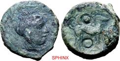 Ancient Coins - 716GR4W) Very Rare. Sicily, Segesta AE Hexas. 4.11g, 16 mm, 5h. Circa 410-400 BC. Head of Aigiste to right, [ΕΓΕΣΤΑION around] / Hound standing to right; punched pellets (mark of v