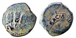 Ancient Coins - HEROD AGRIPPA, 3 EARS BARLEY, PRUTAH
