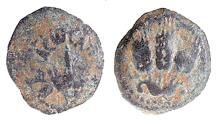 Ancient Coins - AGRIPPA I, 3 EARS BARLEY, PRUTAH