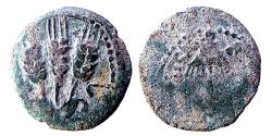 Ancient Coins - AGRIPPA 1 OR 2, STRUCK YEAR 6, 3 EARS BARLEY, PRUTAH