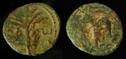 Ancient Coins - > Judaea. Bar Kochba Revolt, 133/134 AD. Middlel Bronze. Year Two