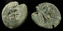 Ancient Coins -  Ptolemaic Kingdom. Ptolemy IX. First reign, 116-106 BC. AE 20. Svoronos 1698