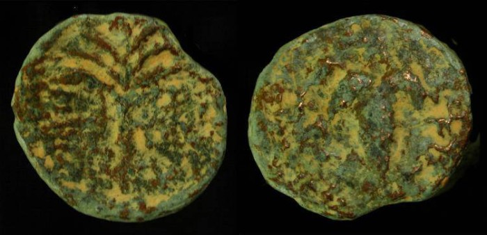 Ancient Coins -  Judaea. Bar Kochba Revolt, 132-135 AD. Small Bronze  AE 19. Year One. 