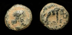 Ancient Coins - > Seleukid Kingdom. Antiochos III. 223-187 BC. AE 10. Elephant reverse.