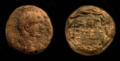 Ancient Coins - > Agrippa II under Domitian. AE 14. 