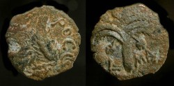 Ancient Coins - >Marcus Ambibulus, 9-12 AD. Prefect under Augustus. AE Prutah 