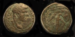 Ancient Coins - > Agrippa II under Domitian. AE 18