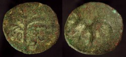 Ancient Coins - > Judaea. Bar Kochba Revolt, 133/134 AD. Middlel Bronze. Year Two