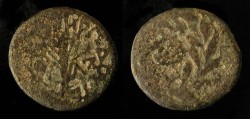Ancient Coins - Herod Antipas 4 BC - 40 AD. AE 20 mm, Half Denomination. Hendin 1212 . Rare
