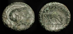 Ancient Coins - Macedonia, Pella. 187-31 BC. AE 18. Athena Parthenos / Bull Grazing