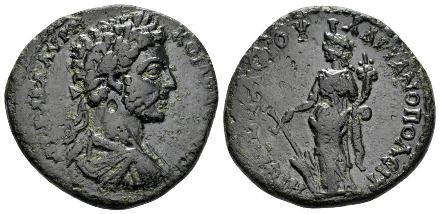 Auctus177