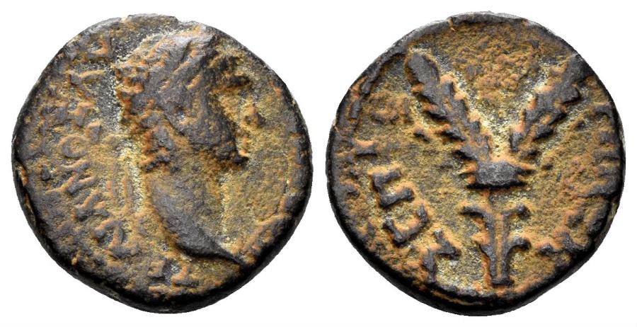 Ancient Coins - Galilaea, Sepphoris-Diocaesarea. Trajan, 98-117 AD. AE 14mm (2.66 gm). Rosenberger 6