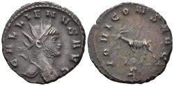 Ancient Coins - Gallienus. 253-268 AD. AE Antoninianus (3.54g, 20.5mm). 'Zoo' series. Rome mint. Struck 267/8 AD. RIC 207