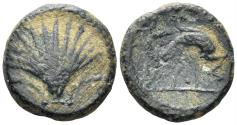 Ancient Coins - Spain, Arse-Saguntum. Circa 200-150 BC. AE Quarter Unit (3.49g, 16mm). SNG BM Spain 1112