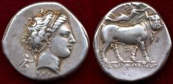 Ancient Coins - CAMPANIA/ NEAPOLIS 340-241 BC  DiDrachm