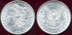 Us Coins - 1891 MORGAN DOLLAR  MS62 ... WHITE