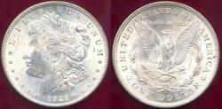 Us Coins - 1921 MORGAN  DOLLAR MS63 .... GOOD STRIKE!