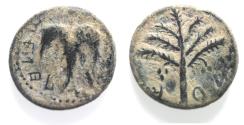 Ancient Coins - AS FOUND: JUDAEA. Bar Kokhba. 132-135 CE. Medium Æ